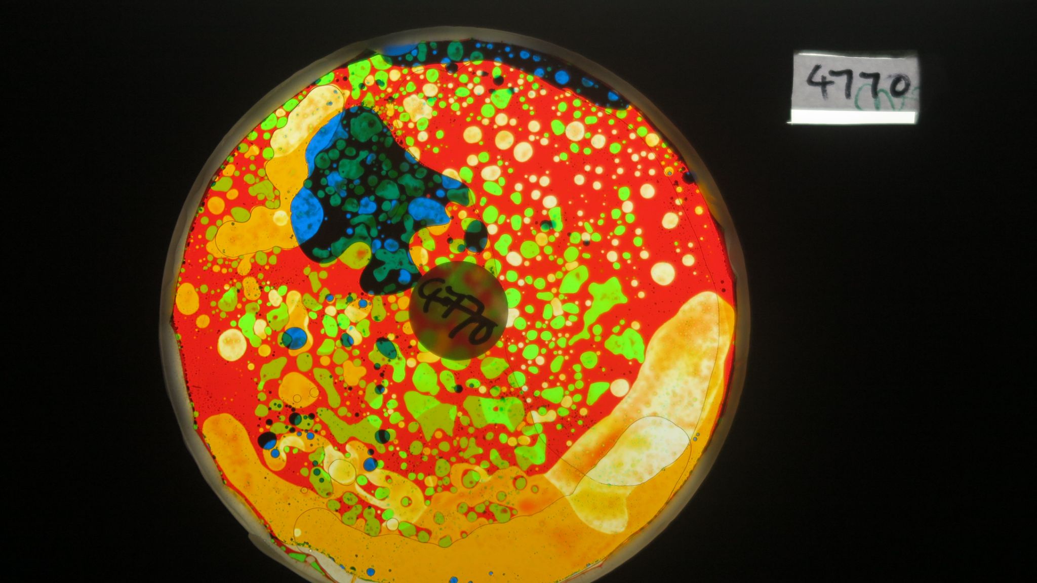 BV4770 bubble vision oil wheel